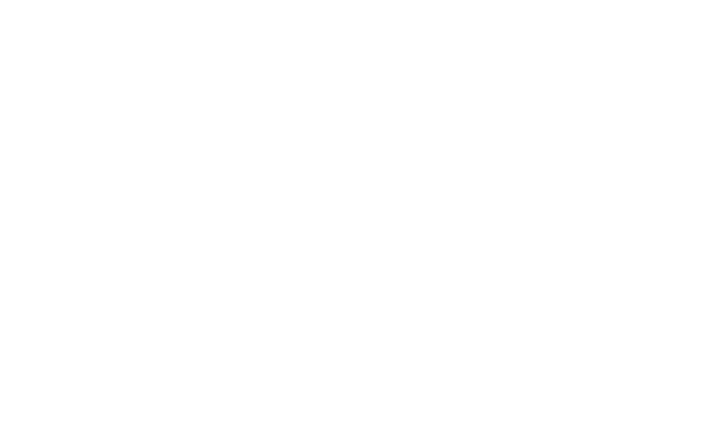THE JULIE